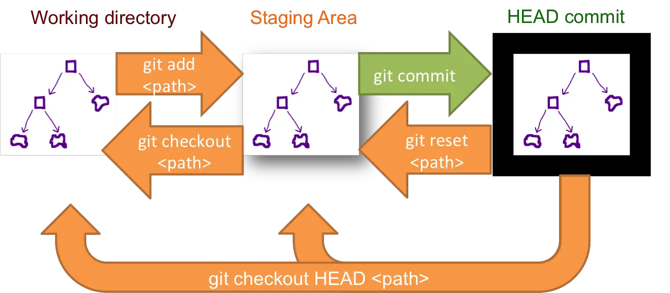Diagramm, das den Staging-Bereich und das Auschecken von HEAD veranschaulicht